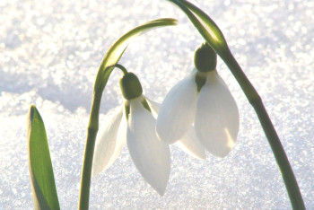 Фотография к новости: Погоду без осадков прогнозируют синоптики в ближайшие трое суток в РК 