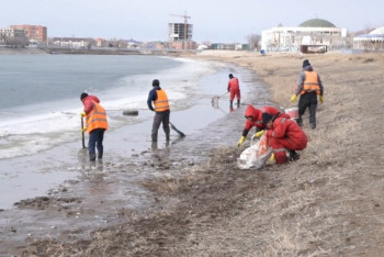 Фотография к новости: Массовую гибель рыбы в реке Урал продолжает расследовать МВД