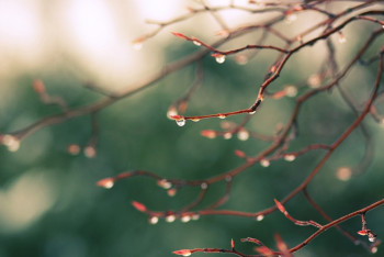 Фотография к новости: Синоптики рассказали о погоде в Казахстане 16 марта