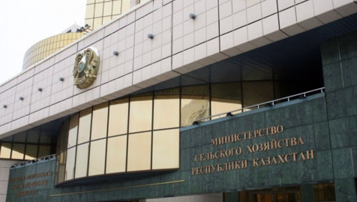 из открытых источников 