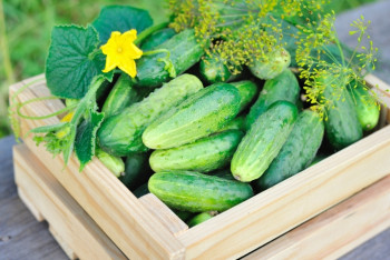 Цены на огурцы в Астане после проверок антимонопольного комитета снизились