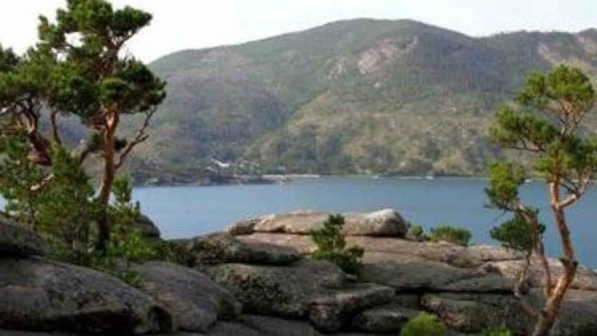 из открытых источников 