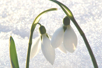 Фотография к новости: До 20 градусов тепла ожидается в ряде регионов страны в ближайшие трое суток 