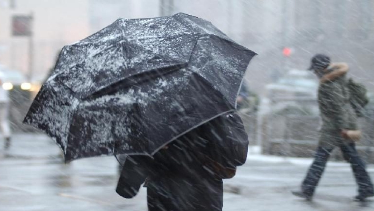 из открытых источников