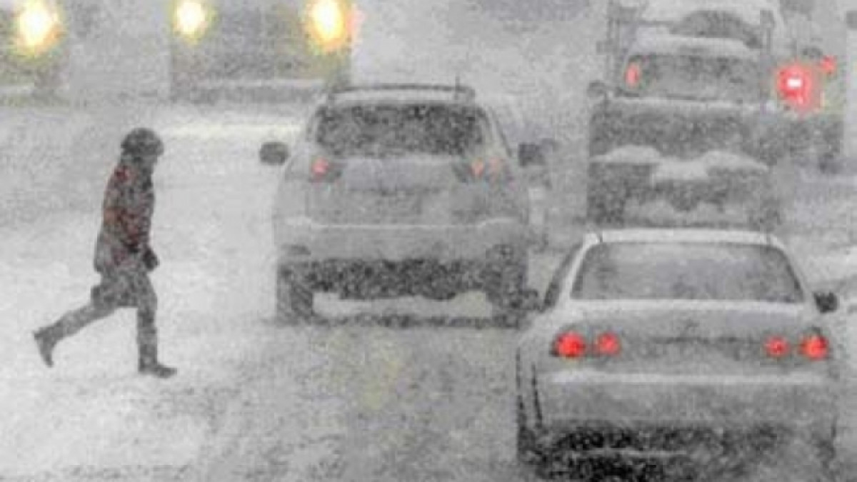 из открытых источников