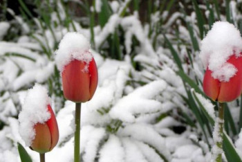Фотография к новости: Неустойчивый характер погоды спрогнозировали синоптики на 9 марта в РК