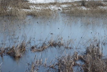 Фотография к новости: В Костанайской области 4 тыс. человек находятся в зоне возможного подтопления 