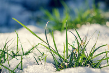 Фотография к новости: О погоде в Казахстане на 8 марта рассказали синоптики 