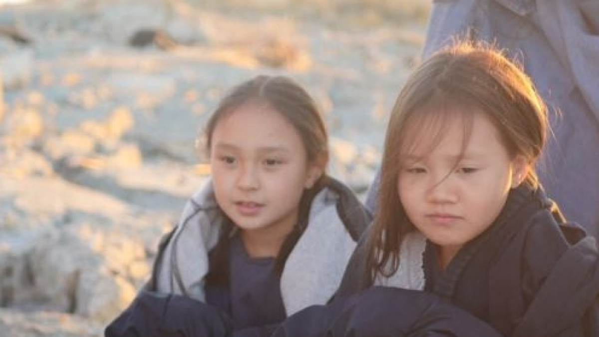 из открытых источников