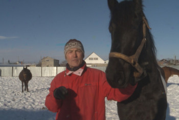 Полвека не расстаётся с лошадьми знаменитый коневод из Кокшетау