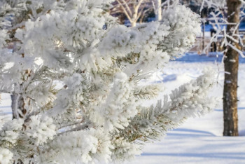 Фотография к новости: О погоде в Казахстане 2 марта рассказали синоптики