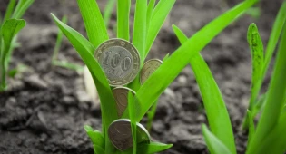 В Казахстане кредитование аграрного сектора сократилось почти на 30%