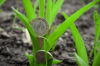 Фотография к новости: В Казахстане кредитование аграрного сектора сократилось почти на 30%