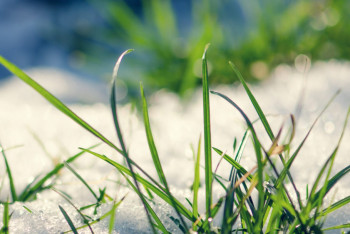 До плюс 15 обещают синоптики на 8 марта в Казахстане 