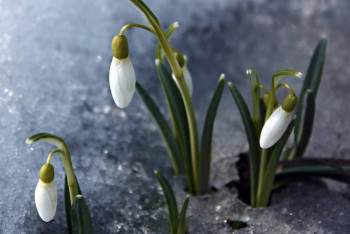 Фотография к новости: Синоптики рассказали о погоде в Казахстане 1 марта