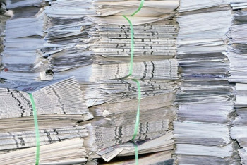 Казахстан вводит запрет на вывоз макулатуры и необработанных шкур КРС