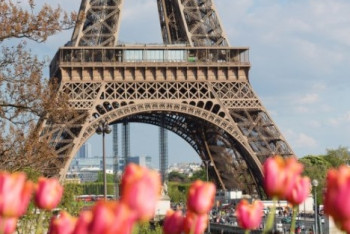 Фотография к новости: Фестиваль "Франкофонная весна" стартует в Казахстане  