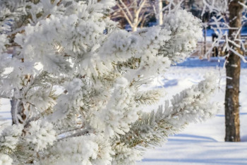 Фотография к новости: О погоде в Казахстане на 28 февраля рассказали синоптики