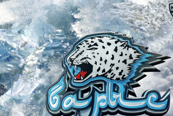 Фотография к новости: Какое место по величине бюджета в КХЛ занимает "Барыс" 