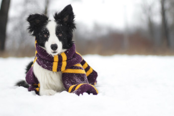 Фотография к новости: Синоптики рассказали о погоде в Казахстане 27 февраля