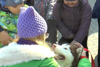 Фотография к новости: В Алматы детский аутизм пробуют лечить с помощью дрессированных собак 