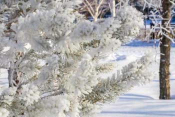 Фотография к новости: Синоптики рассказали о прогнозе погоды в Казахстане 26 февраля