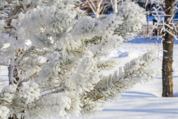 Фотография к новости: Штормовое предупреждение объявили синоптики в ряде областей Казахстана