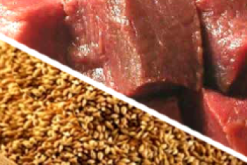 Фотография к новости: Германия заинтересована в импорте казахстанской сельхозпродукции