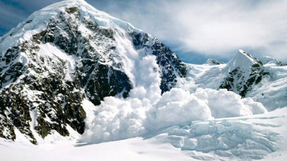 открытые источники