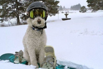 Фотография к новости: О погоде в Казахстане на 21 февраля рассказали синоптики