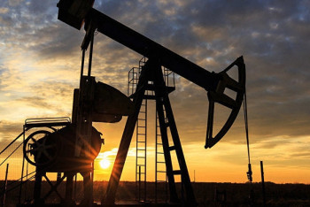 Фотография к новости: Казахстан планирует экспортировать в Узбекистан до 5 млн тонн нефти в год