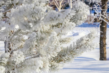 Фотография к новости: Похолодание ожидается в Казахстане в ближайшие три дня