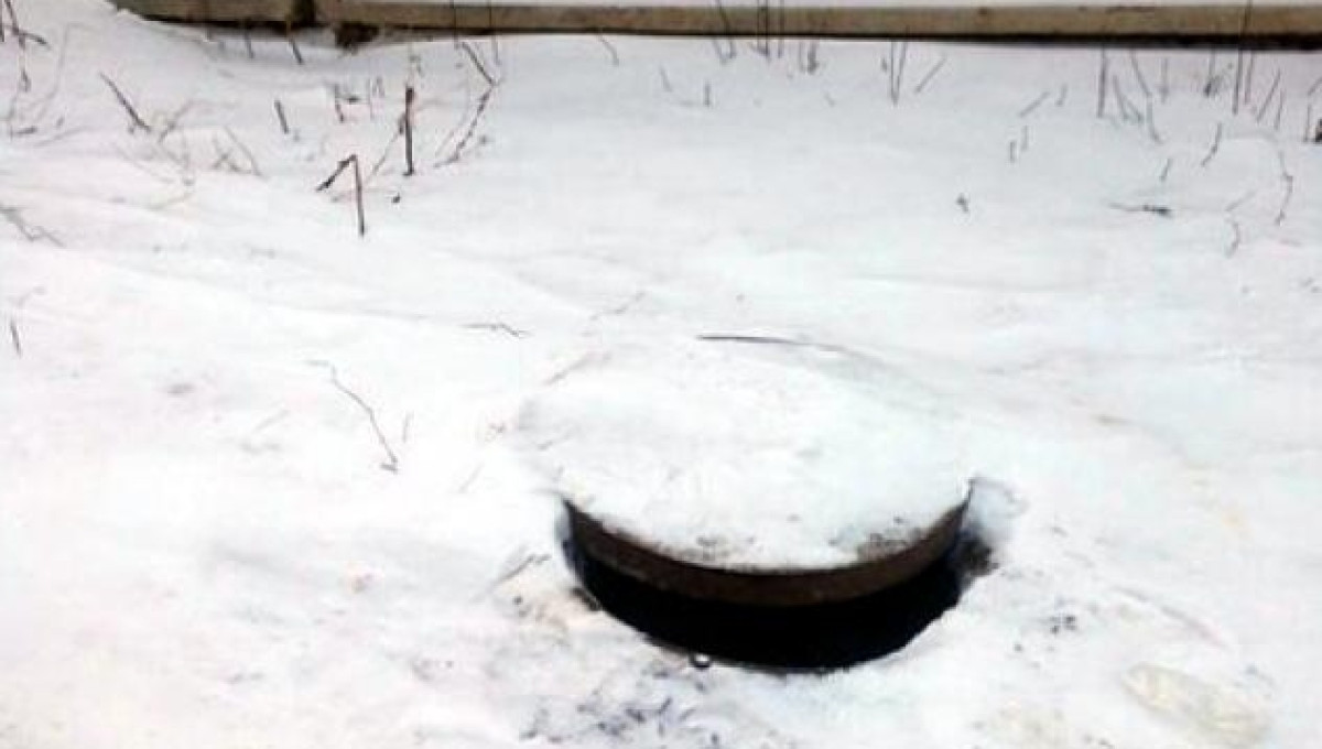 из открытых источников 