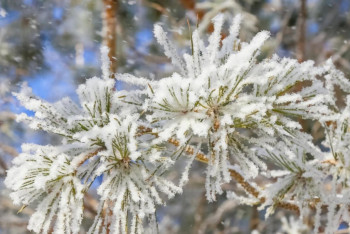 Фотография к новости: Синоптики прогнозируют осадки на всей территории РК 20 февраля