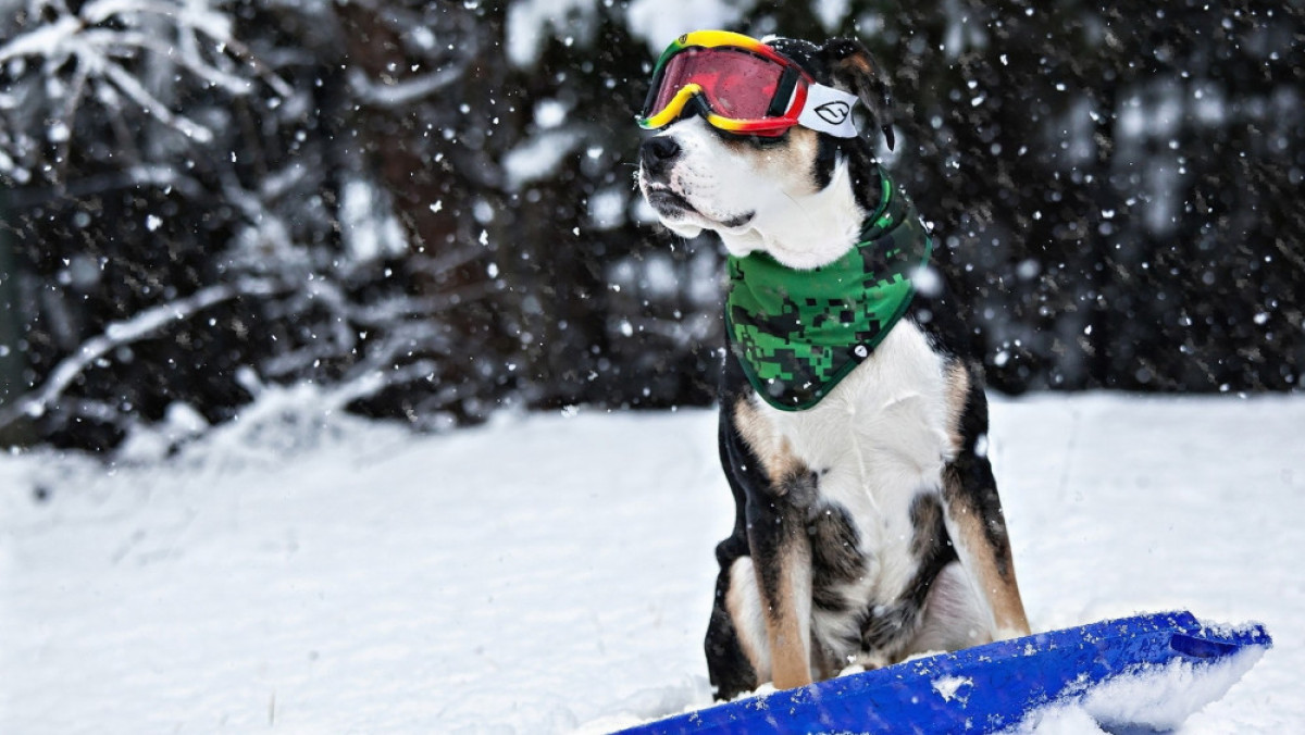 million-wallpapers.ru