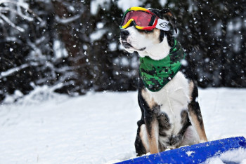 Фотография к новости: Синоптики рассказали о погоде в Казахстане 19 февраля