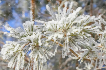 Фотография к новости: В четырех областях Казахстана объявлено штормовое предупреждение