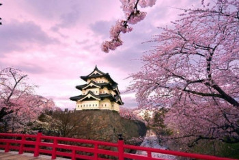 Фотография к новости: В Астане пройдет фестиваль "Японская весна"