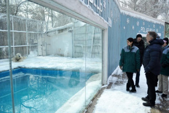 Фотография к новости: Алматинский зоопарк может претендовать на постоянное членство EAZA