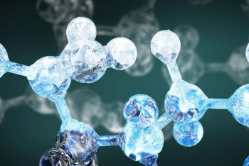 Фотография к новости: Ученые вычислили вероятность встретить двойника