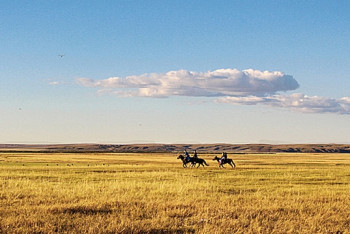 Фотография к новости: Более 2 млн гектаров неиспользуемых земель выявлено в Казахстане в 2018 году 
