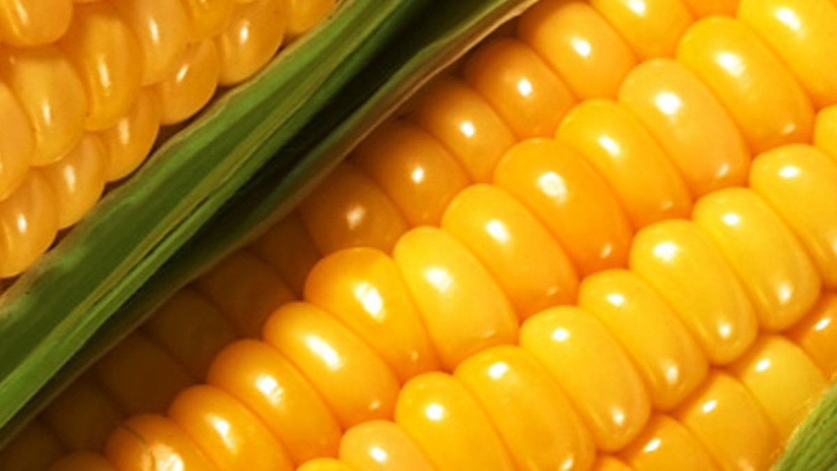 из открытых источников