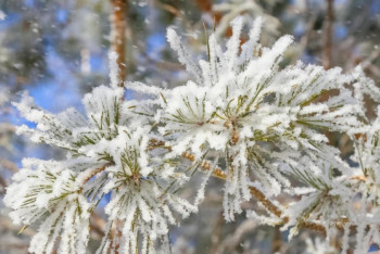 Фотография к новости: Метель и снегопады ожидаются в Казахстане на выходные