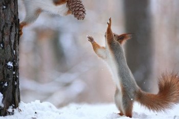Фотография к новости: Синоптики рассказали о погоде в Казахстане 15 февраля
