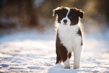 Фотография к новости: Синоптики рассказали о погоде в Казахстане 14 февраля
