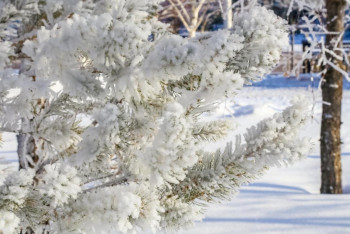 Штормовое предупреждение объявлено на юге Казахстана
