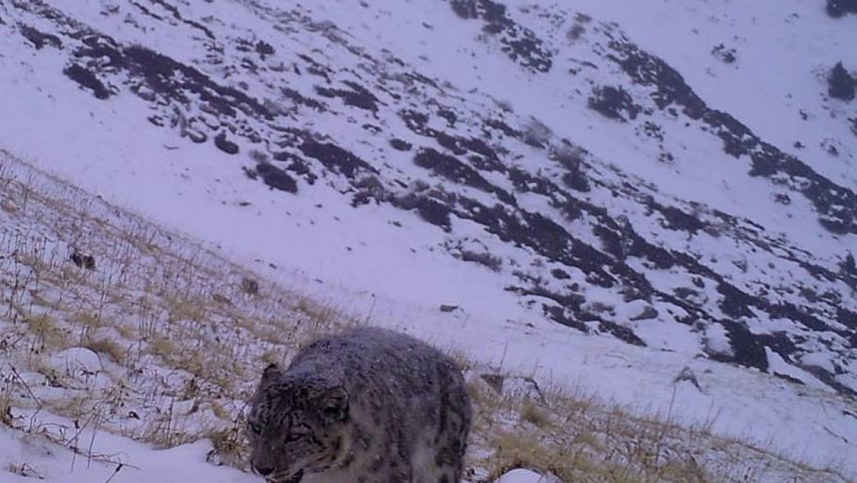 Фото: facebook@Yerzhan Yerkinbayev