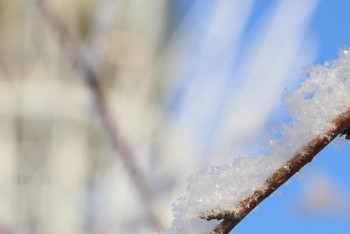 Штормовое предупреждение объявлено в трех регионах Казахстана
