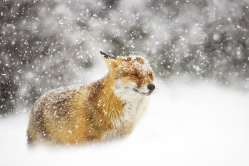 Фотография к новости: О погоде в Казахстане на 12 февраля рассказали синоптики