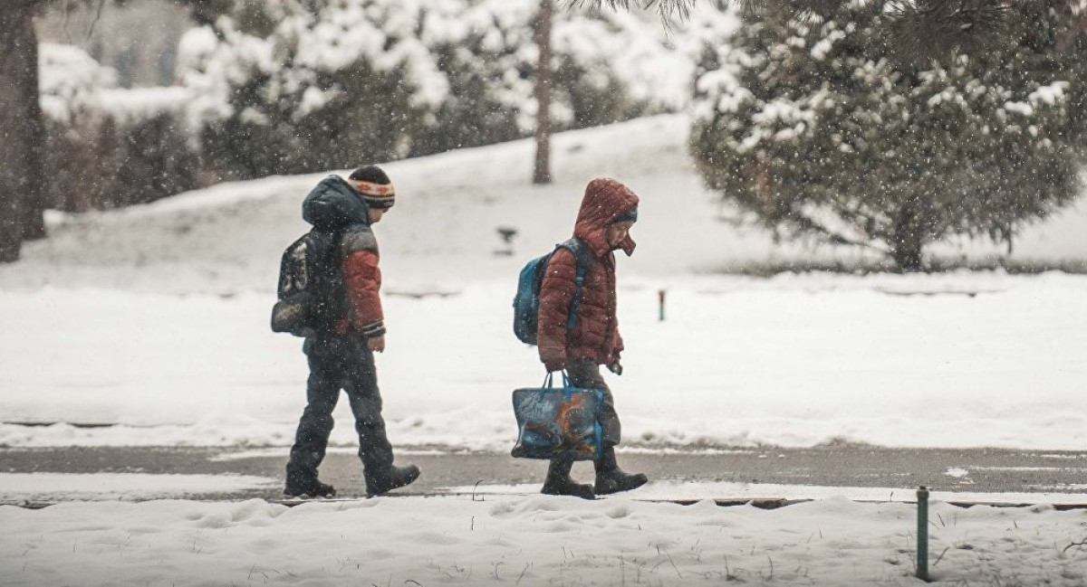 Из открытых источников 